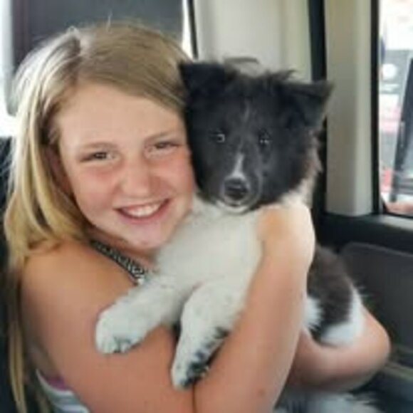 Meet your Posher, Hailey beanz - Picture 1 of 2